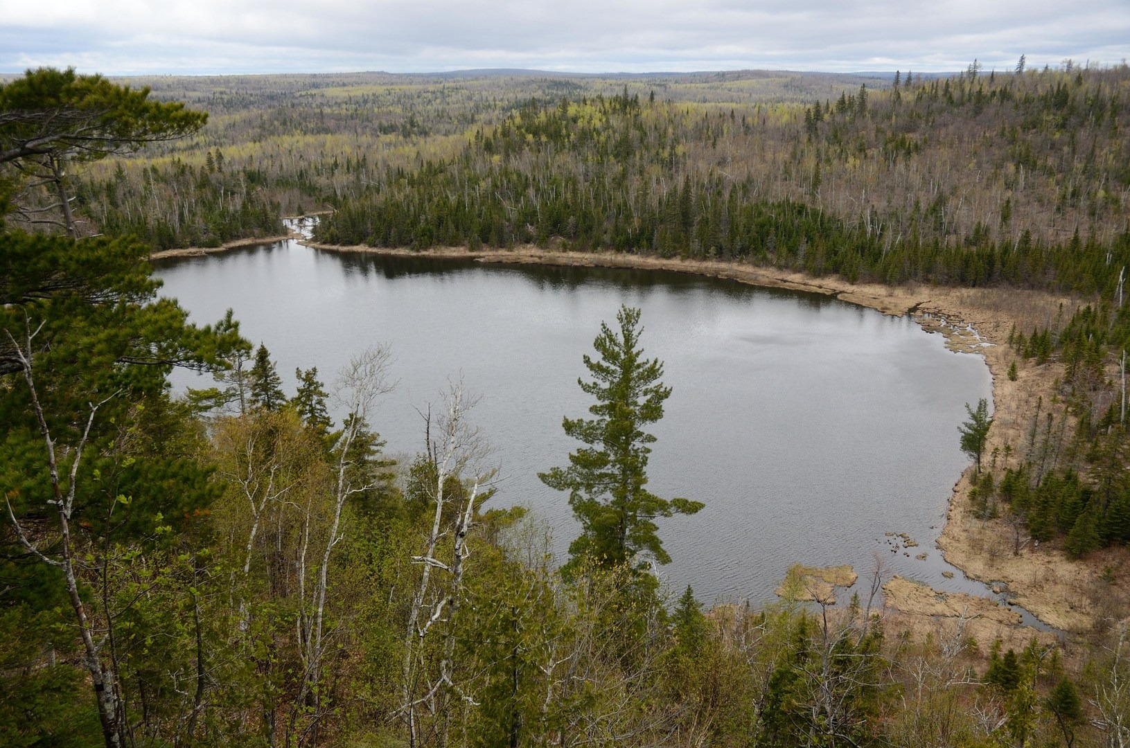 View of Nicado Lake from Mount Baldy.