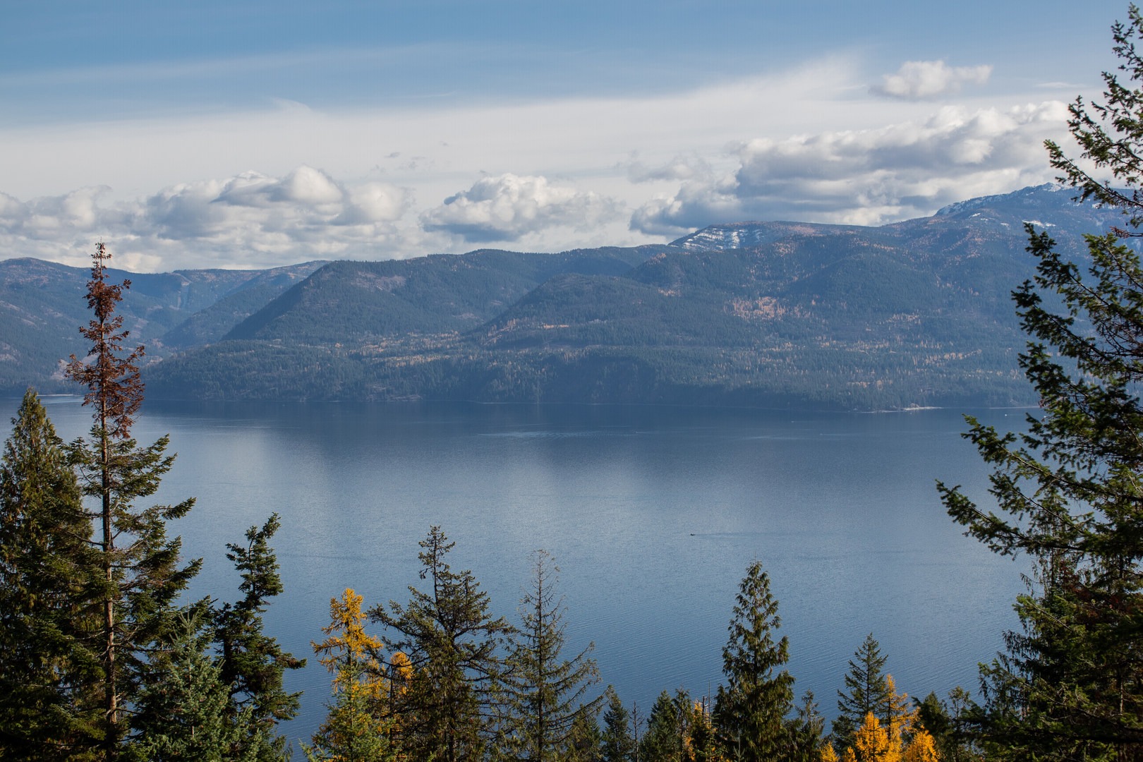 The view early on the trail before making the descent down to the landing.