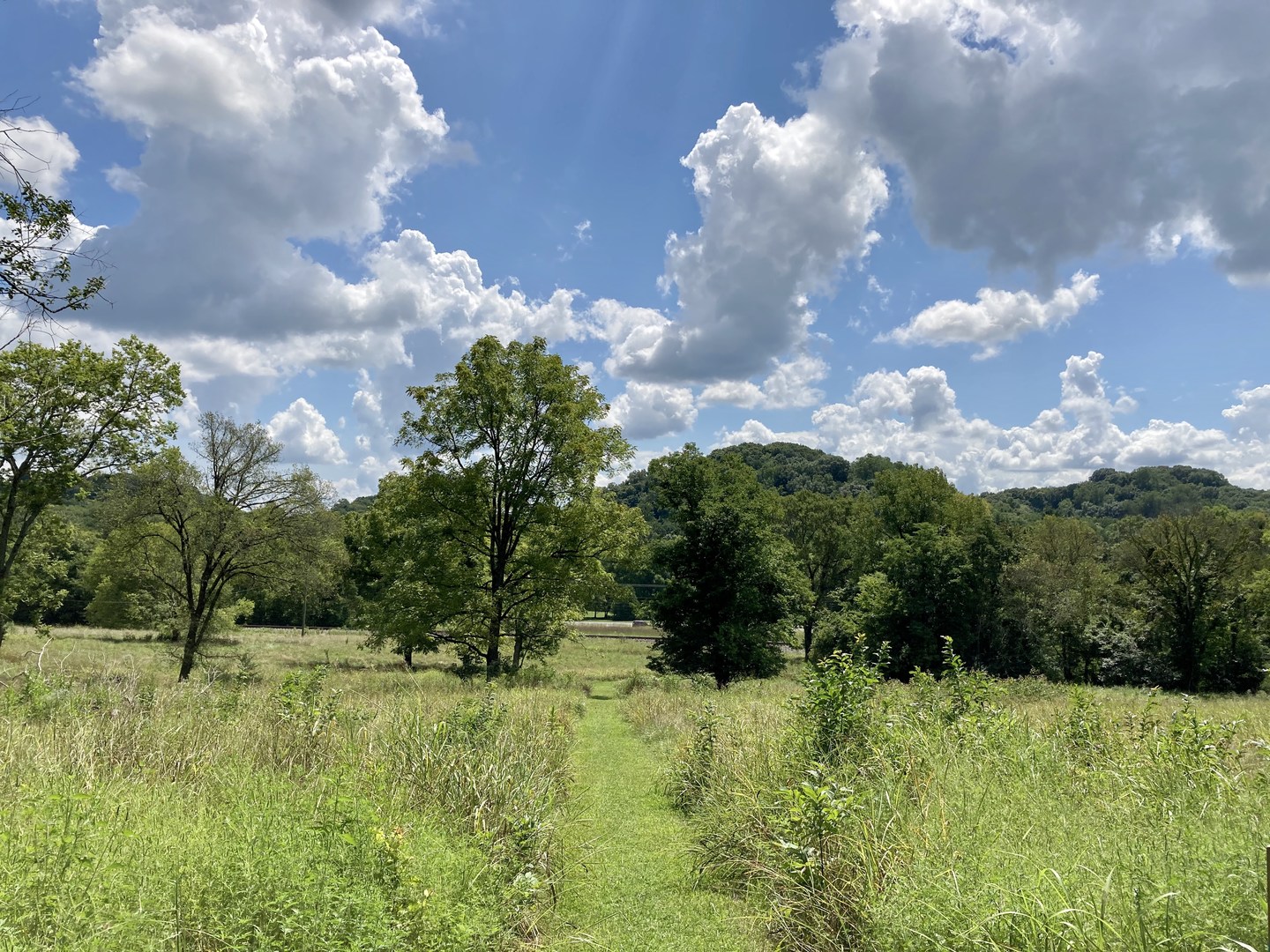 Beautiful meadow views.