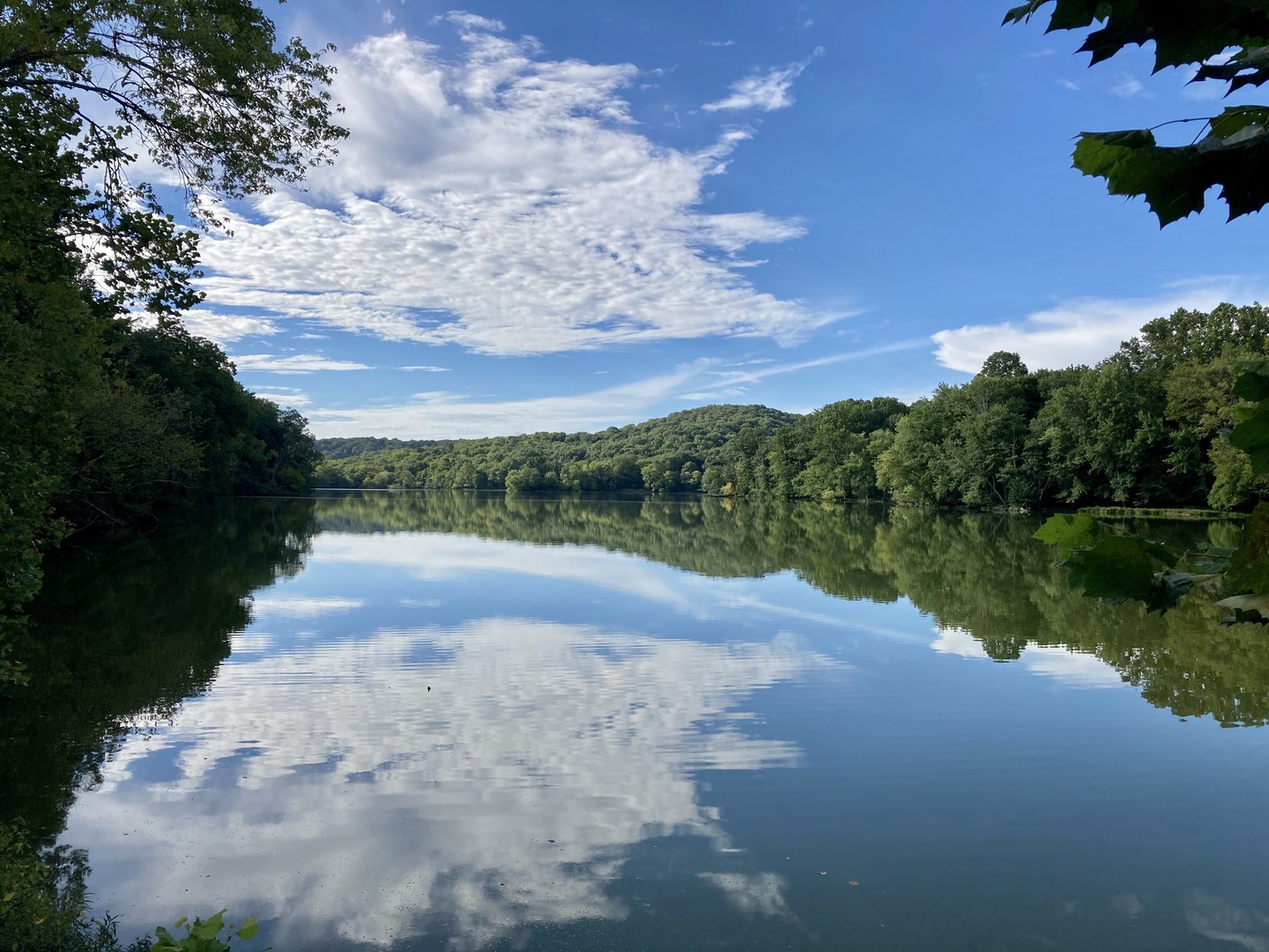 Views of Radnor Lake.