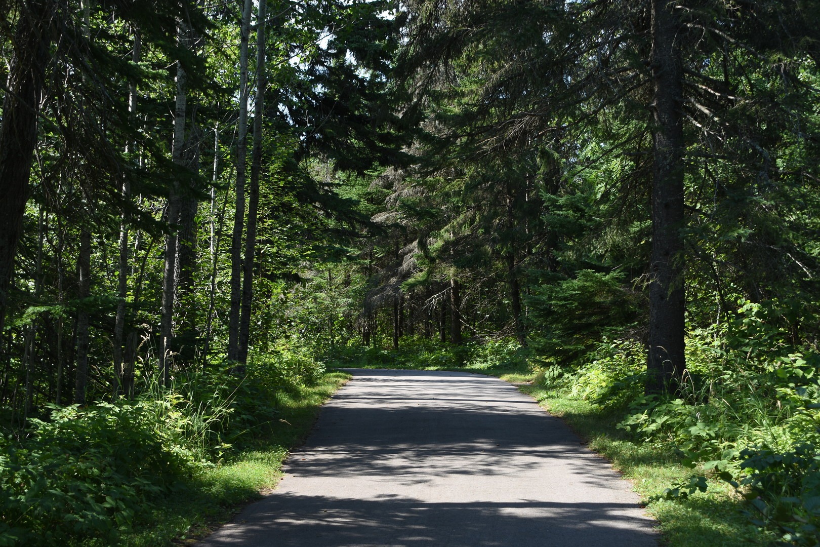 Gitchi-Gami State Trail.