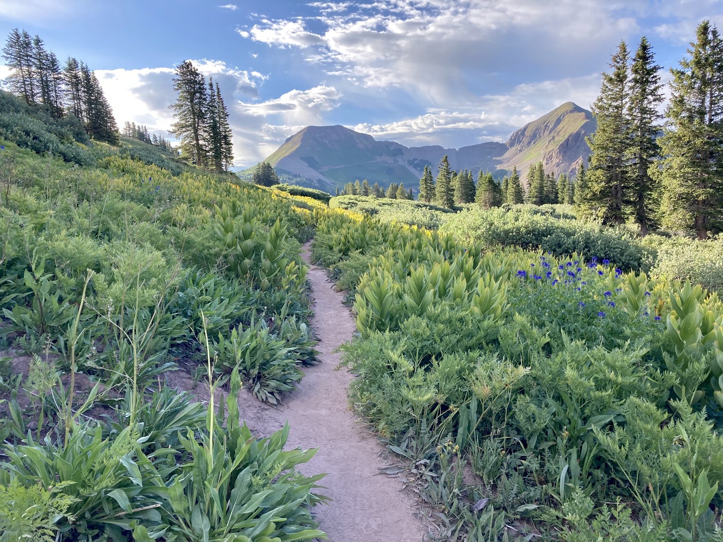 Near Kennebec Trailhead and the end of segment 27.