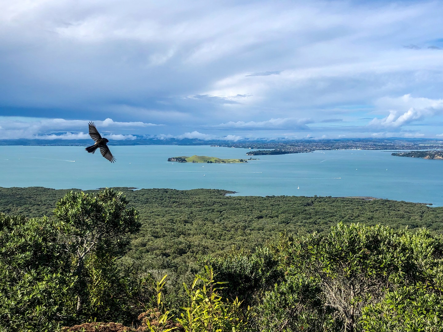 The view from the summit of Rangitoto is beautiful and is a suitable hike for families.