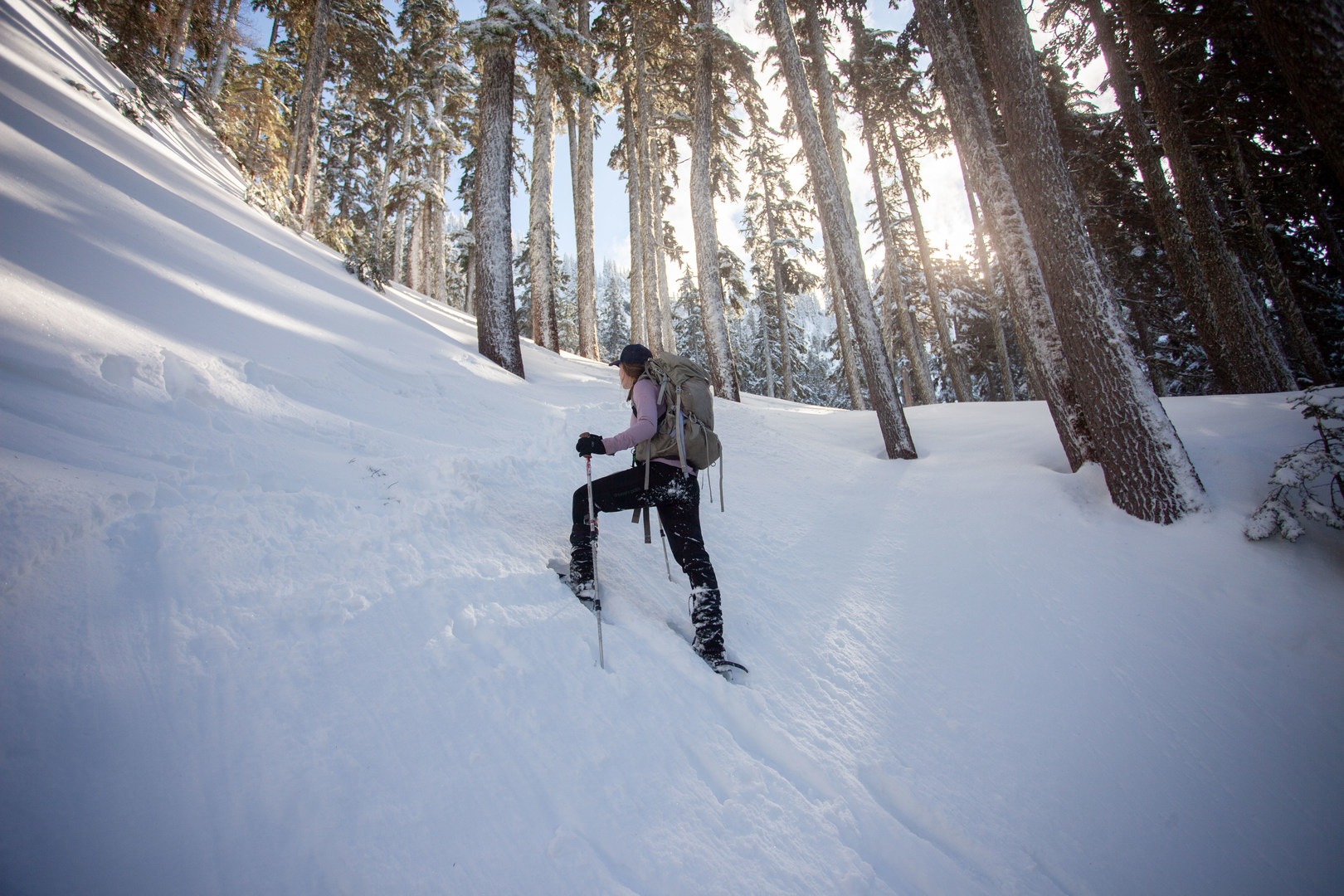 Beautiful light through old growth forest on the climb.