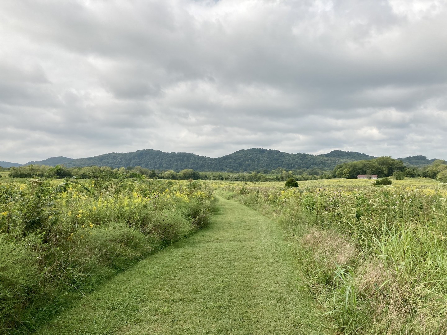 Beginning of the trail at Bells Bend.