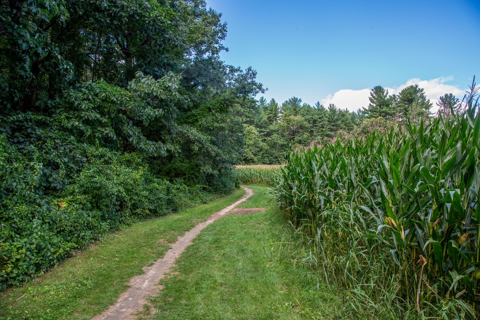 Great Brook Farm State Park Loop Outdoor Project