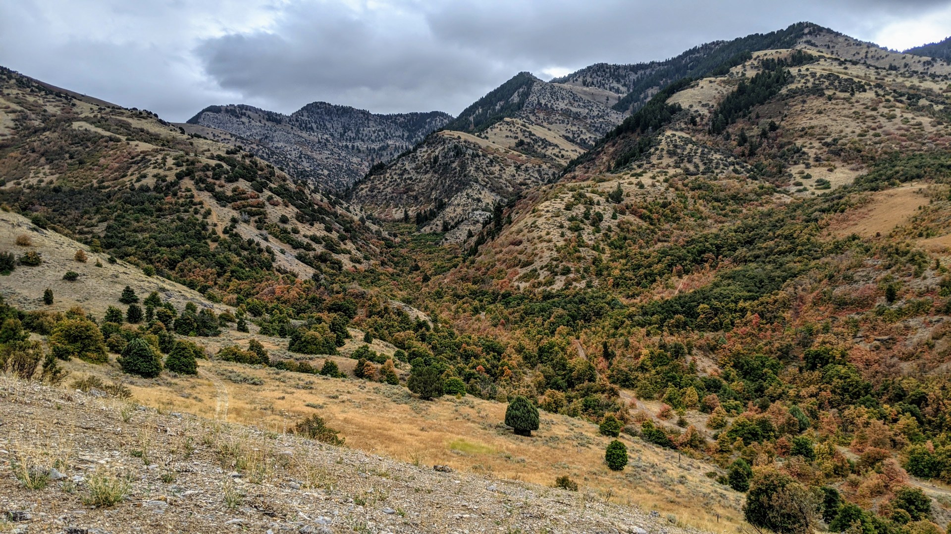 Thurston Hollow below.