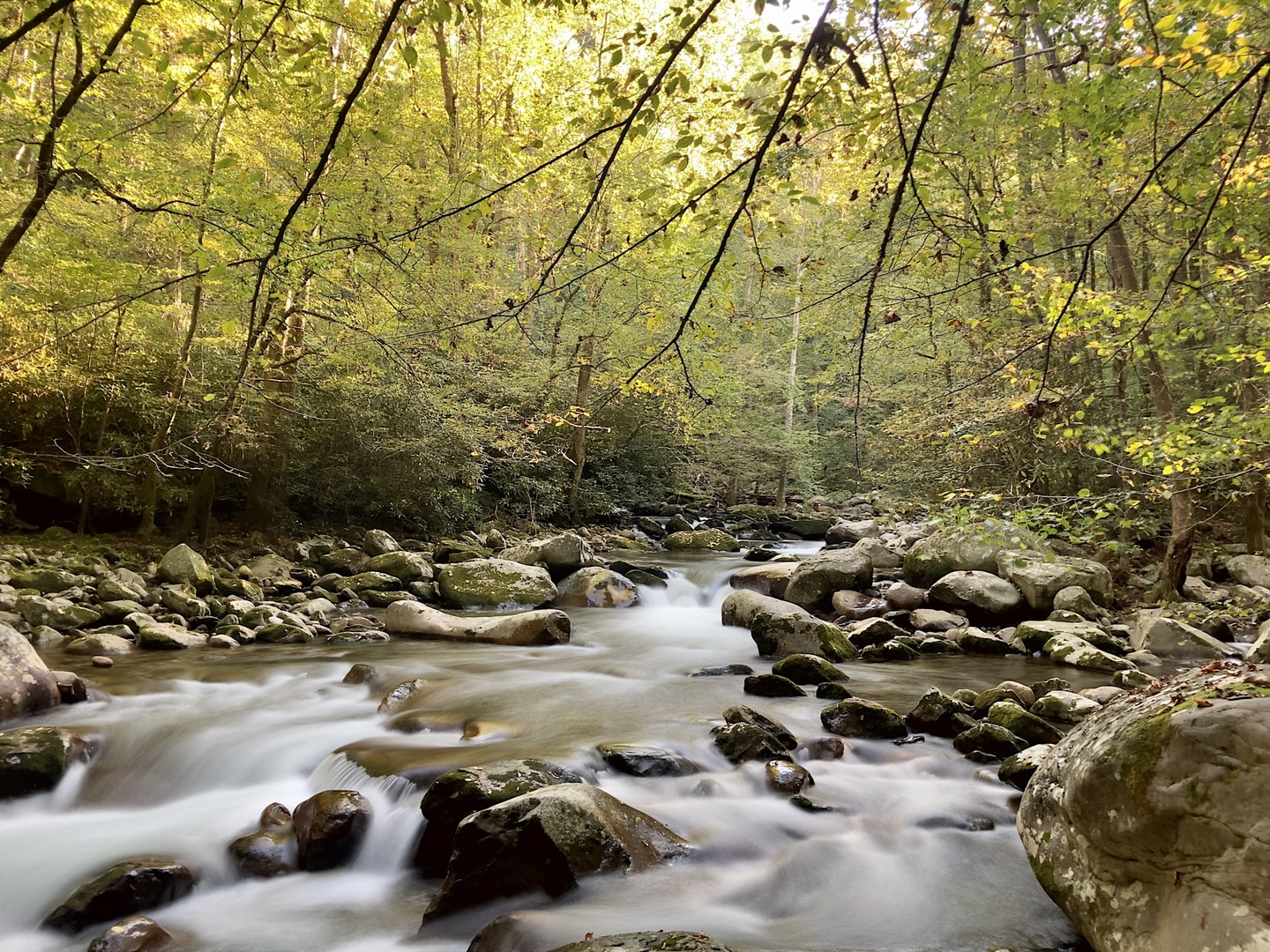 Beautiful Big Creek.