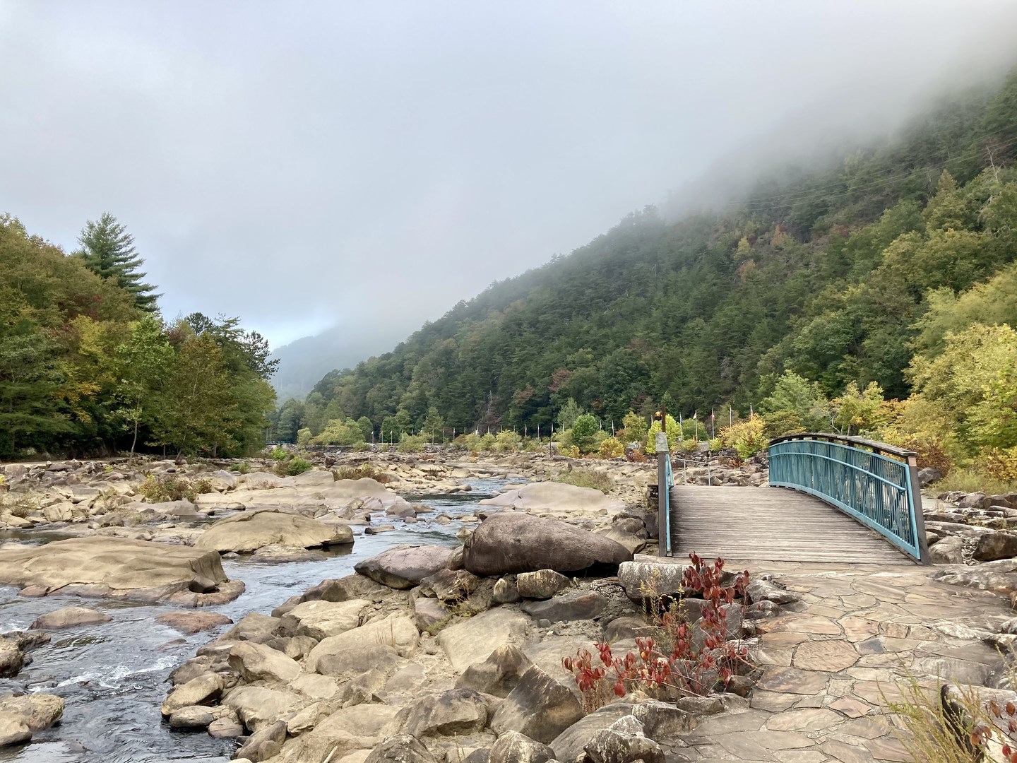 Small footbridge along the trail.