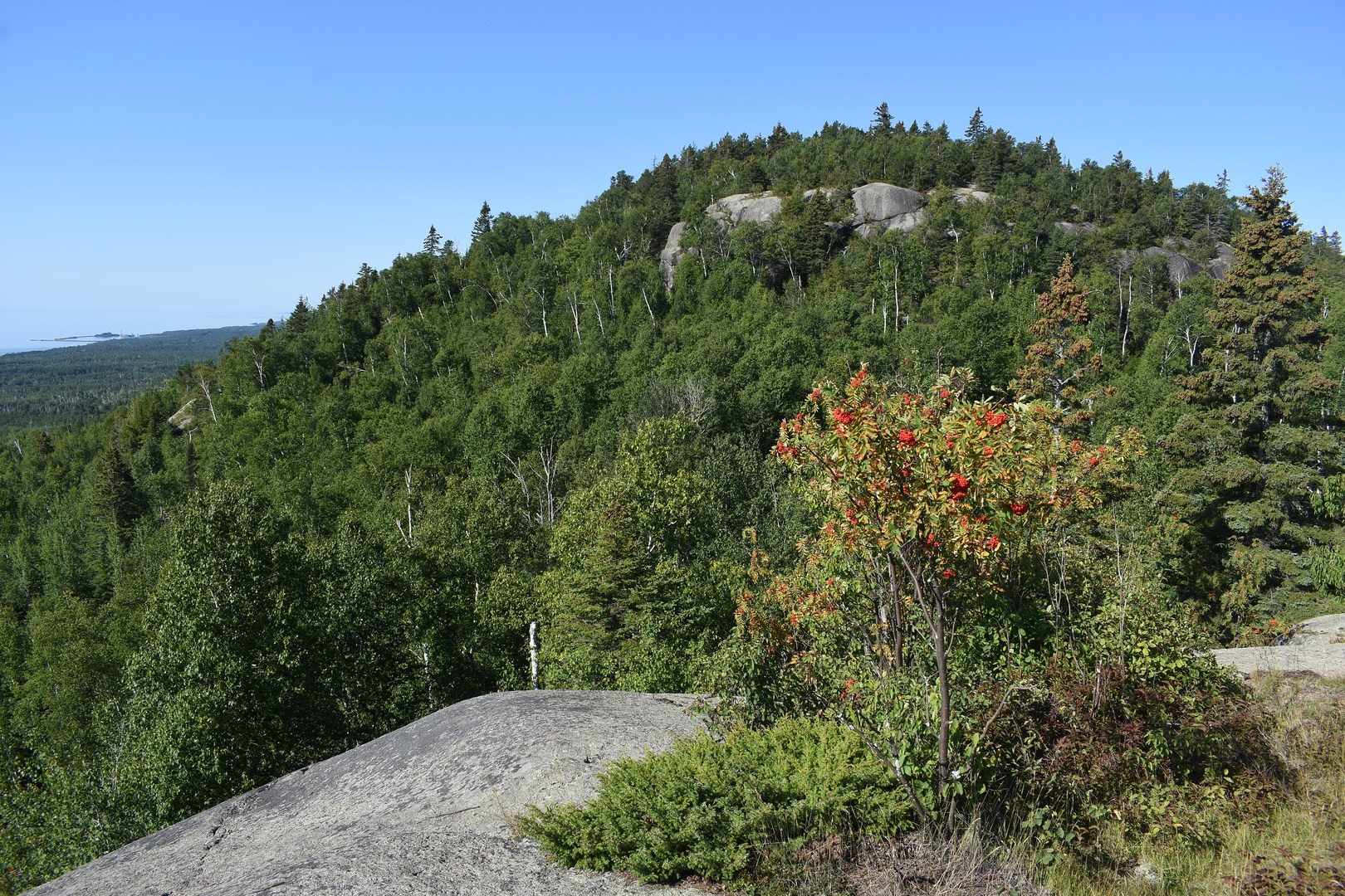 View of Carlton Peak from Ted Tofte Overlook (Tofe Peak).