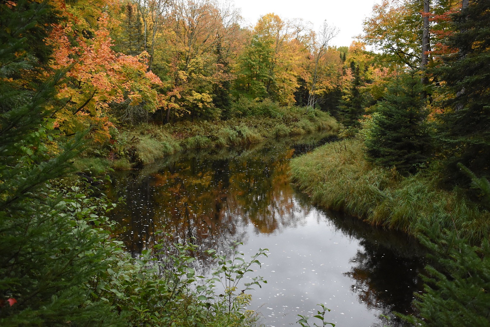 The Black River viewed from the River View Trail at Pattison State Park.
