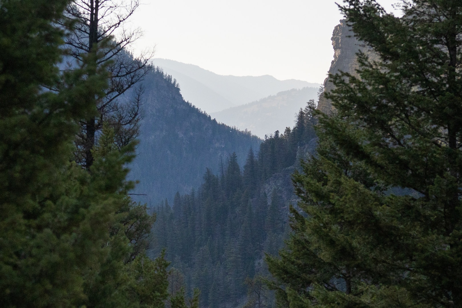 After the first creek crossing the trail affords glimpses into the deeper Gallatin Mountains.