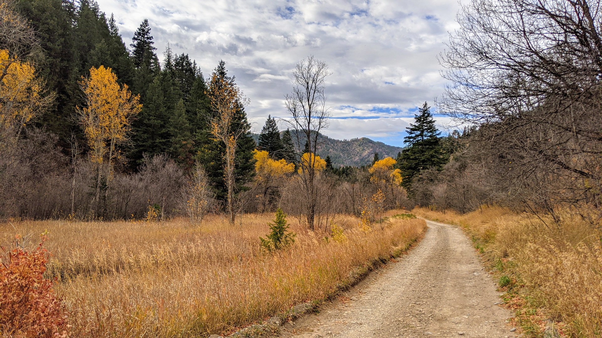Relatively level areas make the hiking easy.