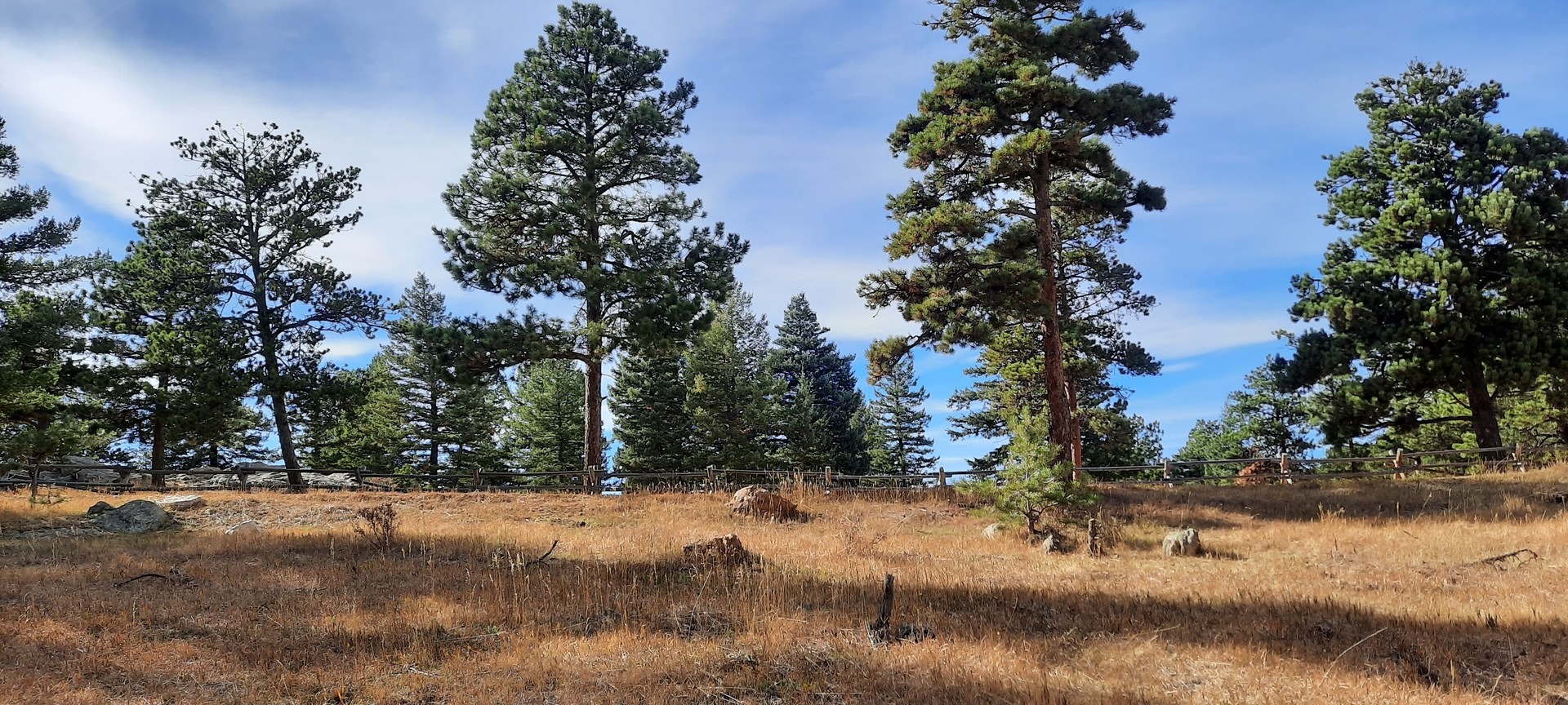 Even without the views, the landscape feels big.