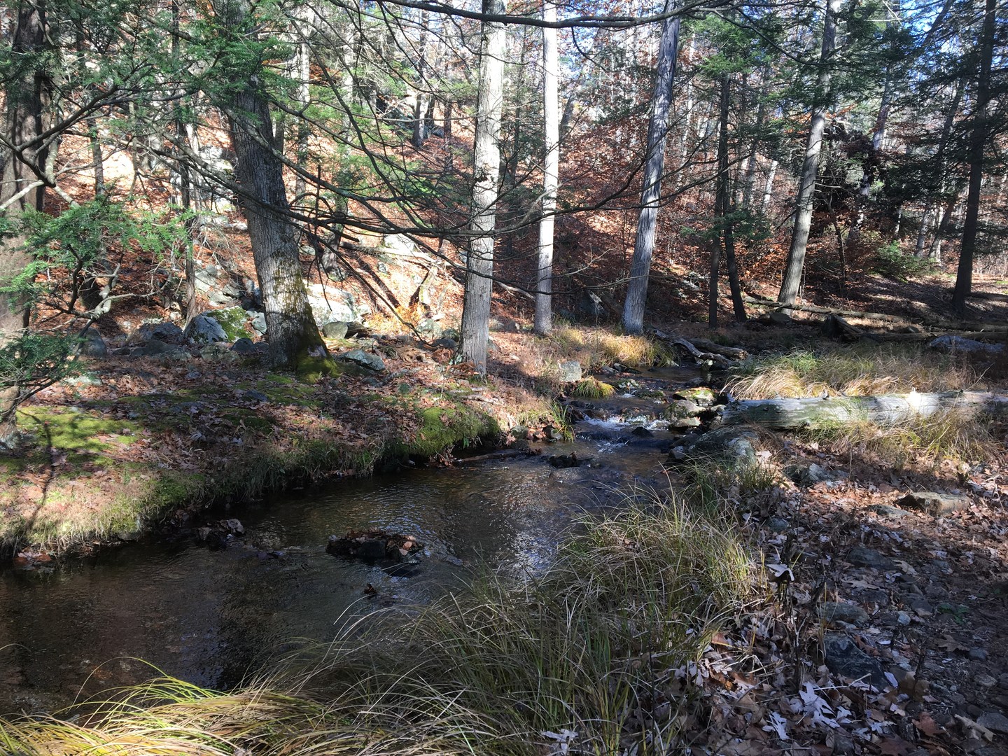 Several easy stream crossings.