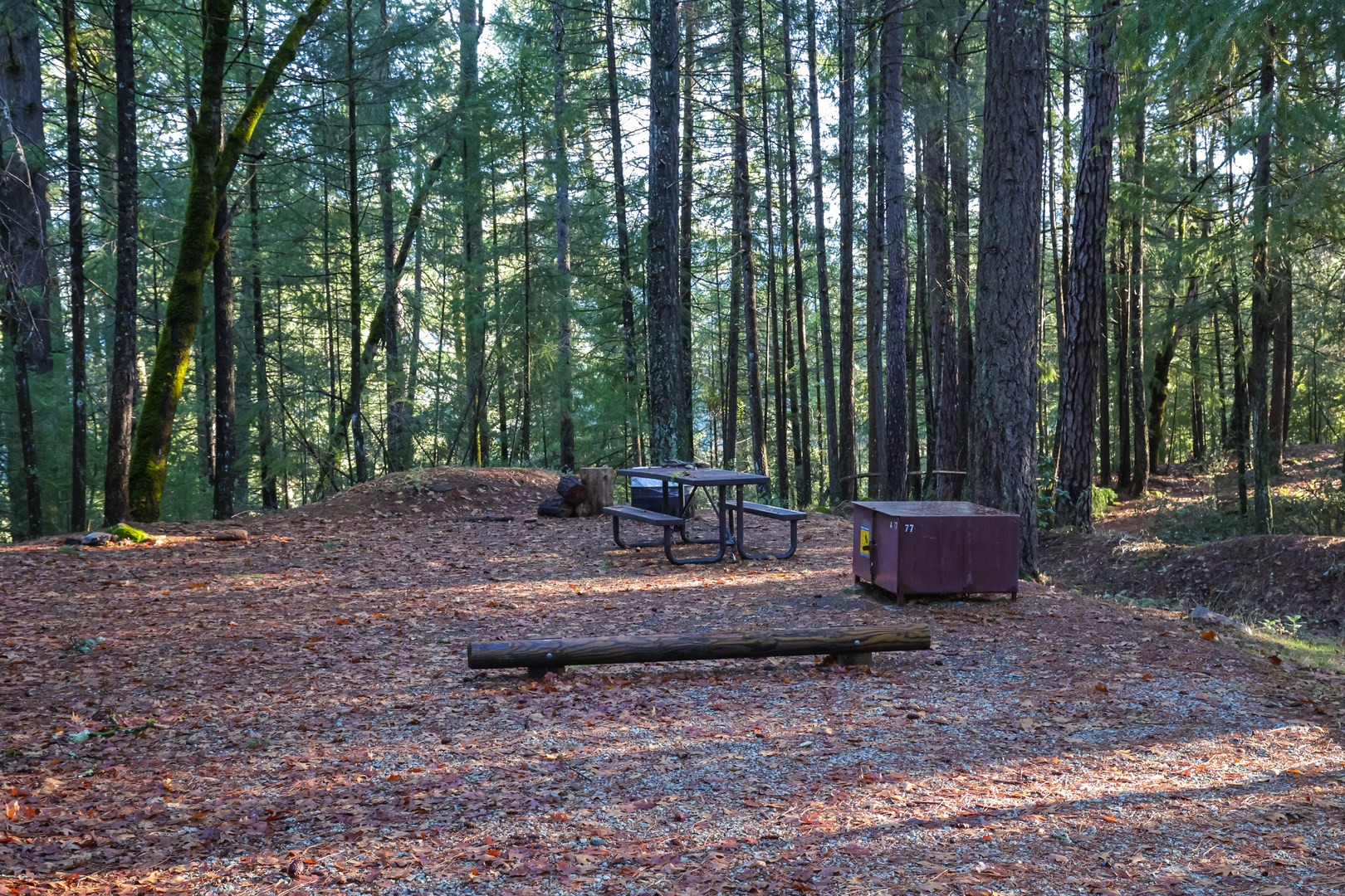 South Yuba Campground Outdoor Project