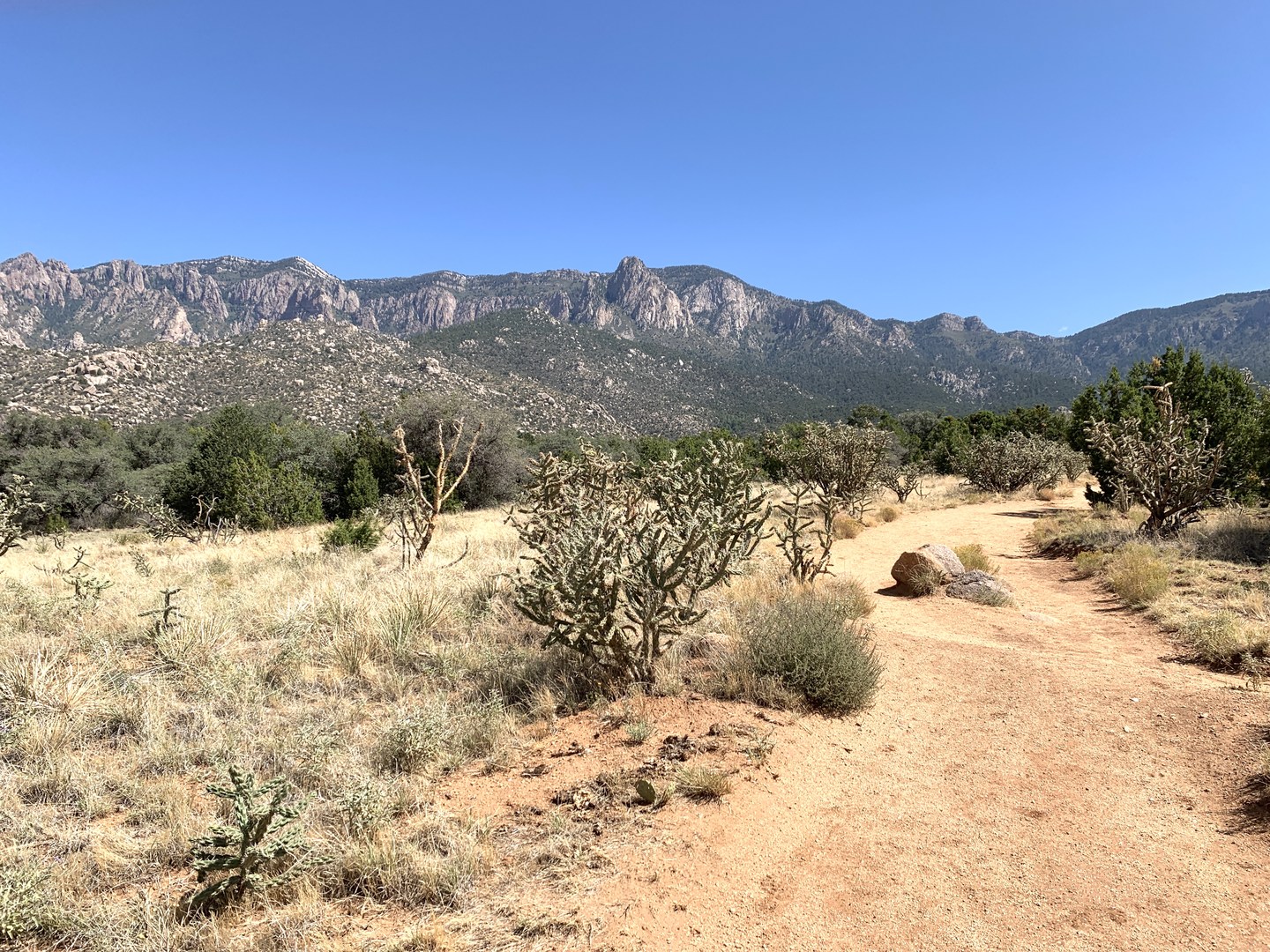 Heading up the trail toward the mountains.