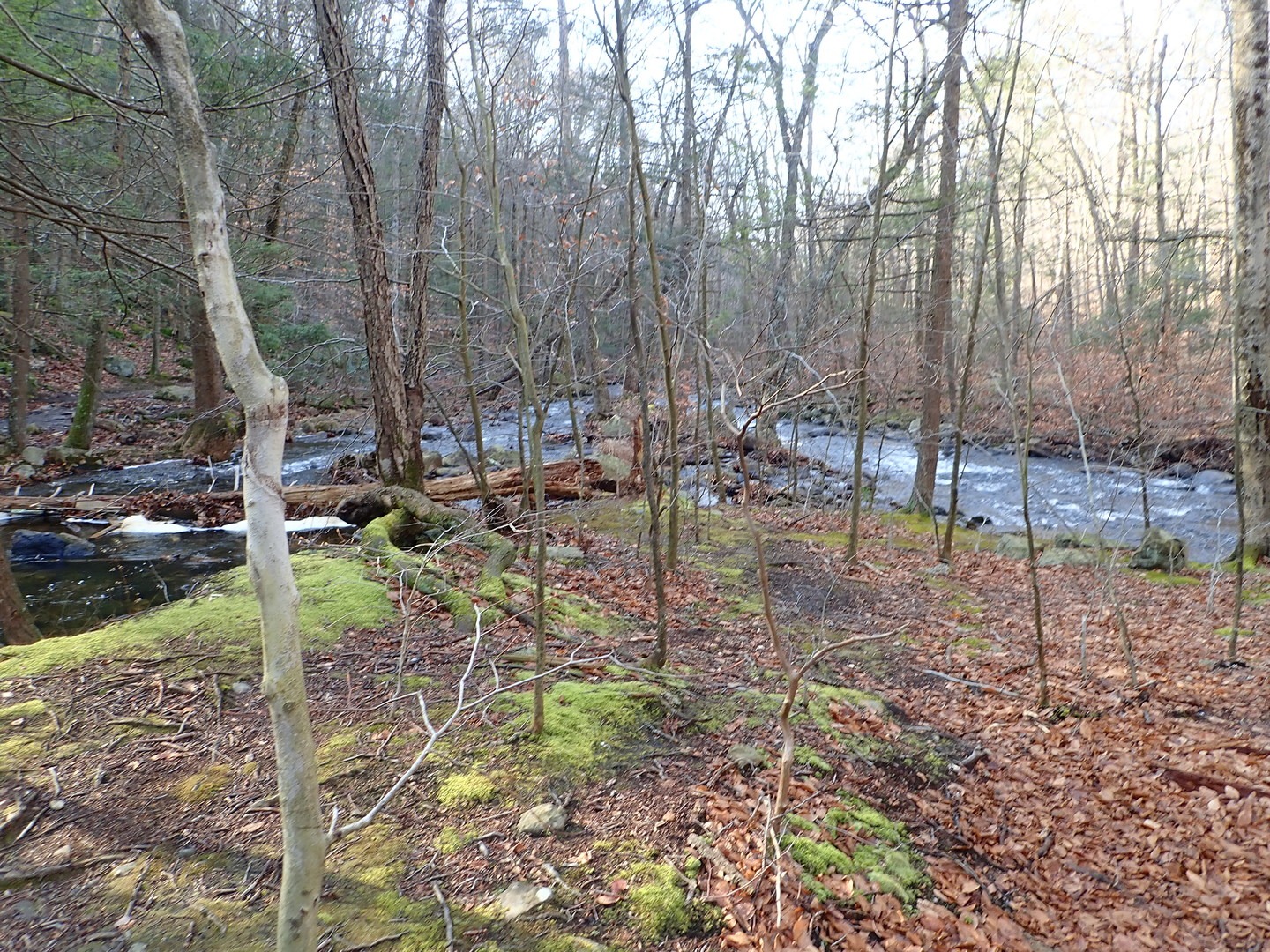 Confluence of Stony Brook and Pine Meadow Brook.