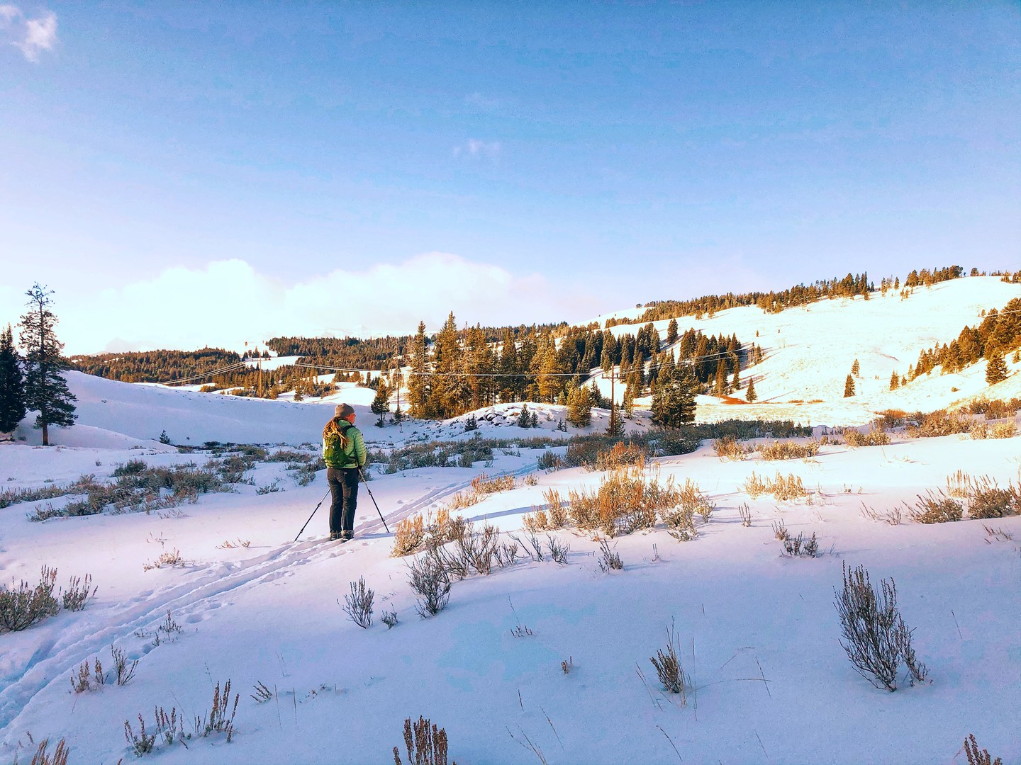 Pausing in some blissful sunshine after a cold and shady ski through the forests leading up to Snow Pass.
