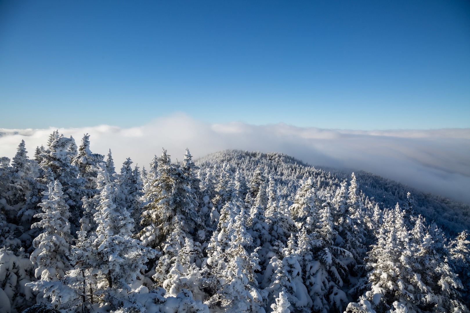 Belvidere Mountain Outdoor Project
