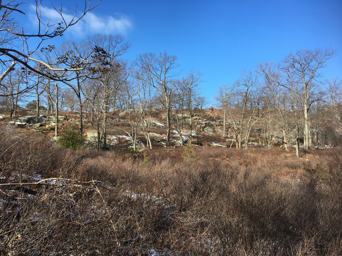 High point along Pine Swamp.
