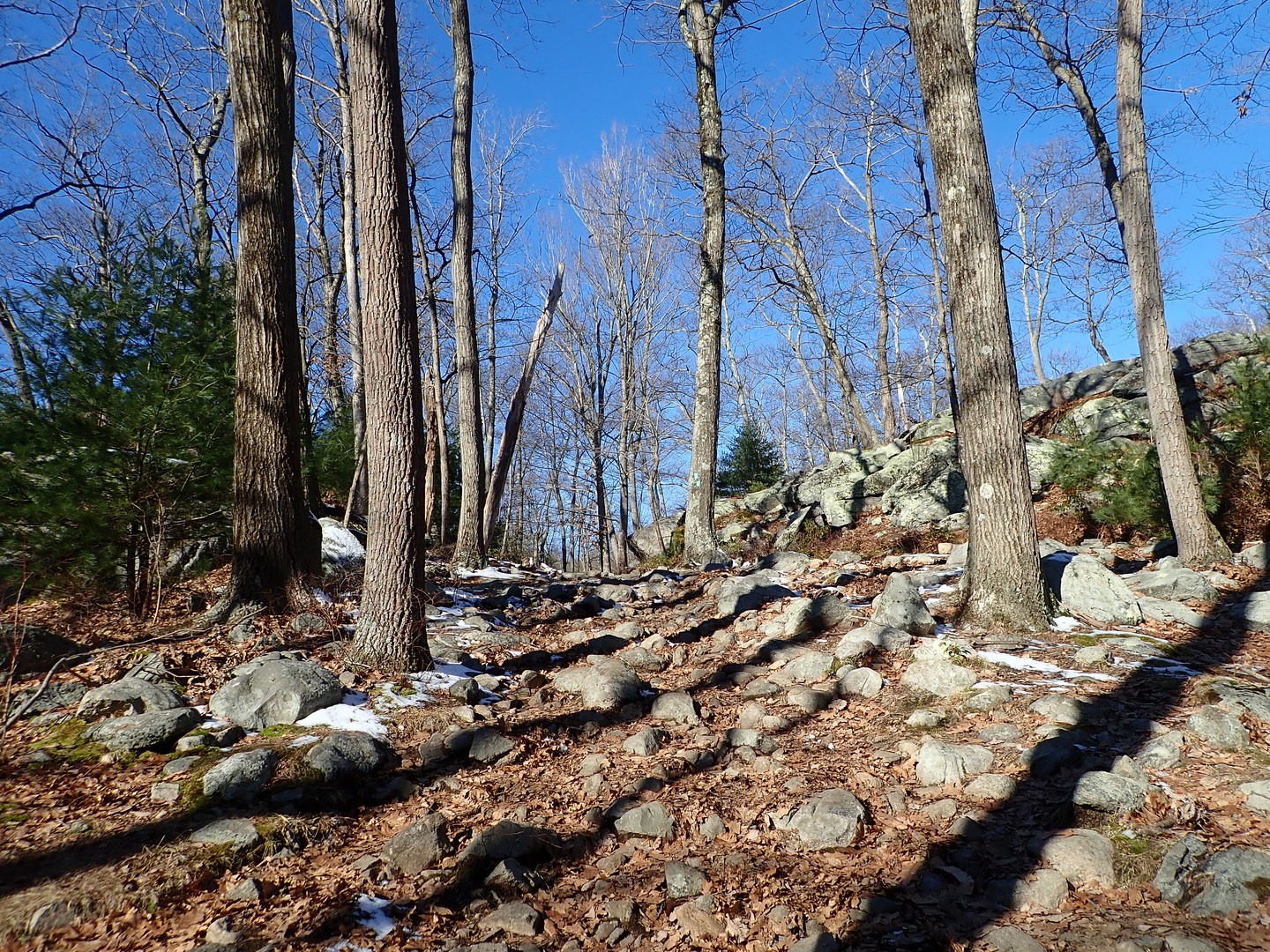 Long Path just before Dunning Trail.