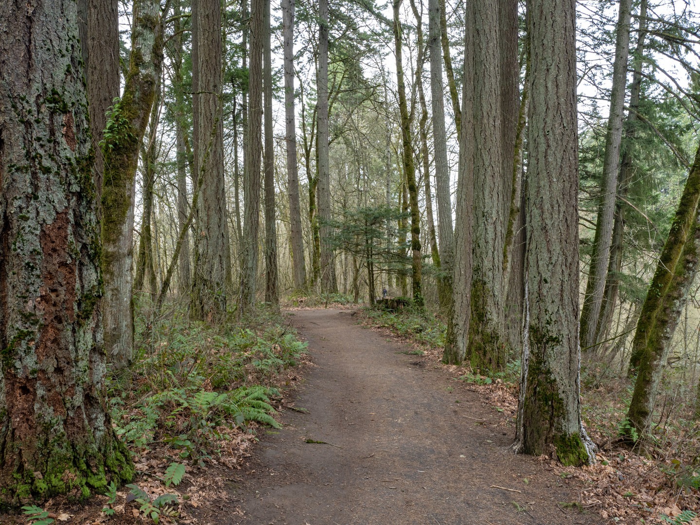 Tualatin River Trail.