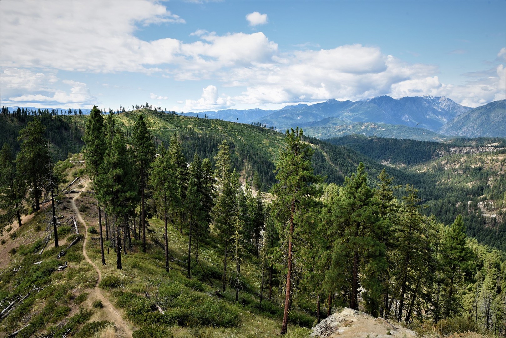 Big views looking back along the Xanadu Trail.