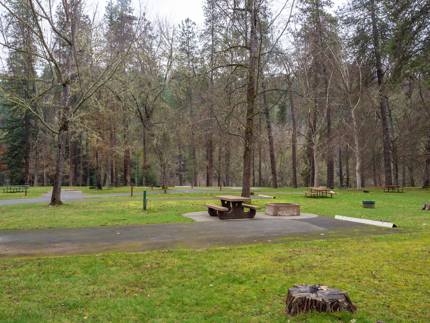 Campsites at Indian Mary Park.