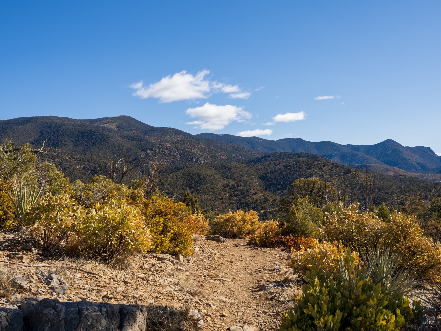 Great views along the Lovell Canyon Trail.