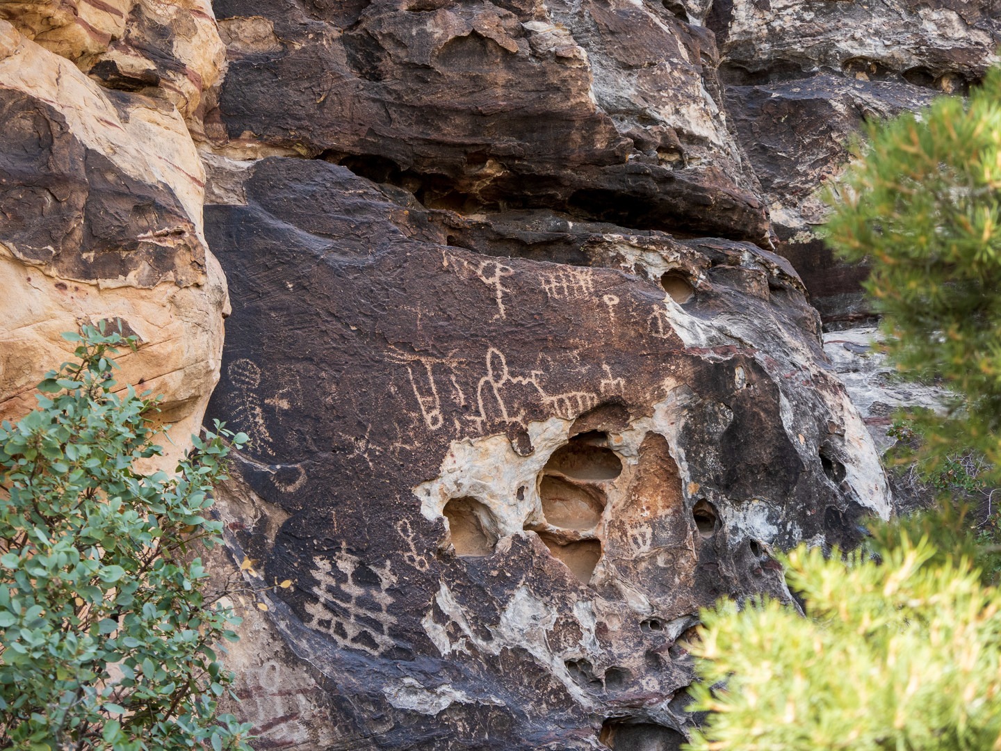 Petroglyph Wall.