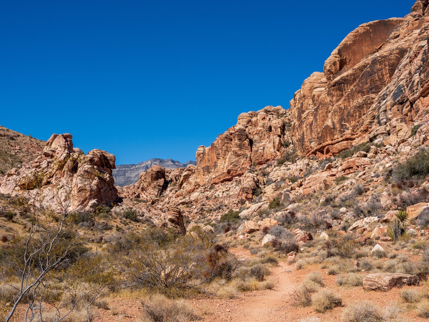 Views from the Calico Overlook Trail.