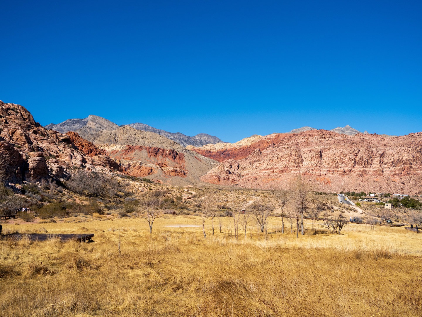 A view of the enclosed meadow area.