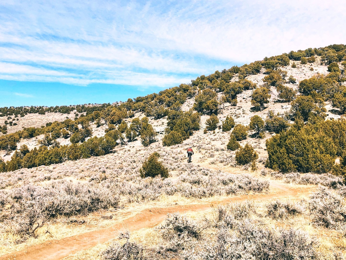 If hiking, watch for bikes and give them the right-of-away.