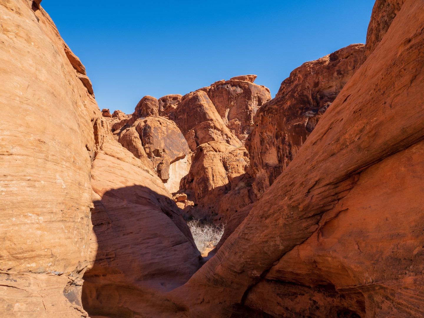 The namesake tank is somewhat hidden near the bottom of this photo.