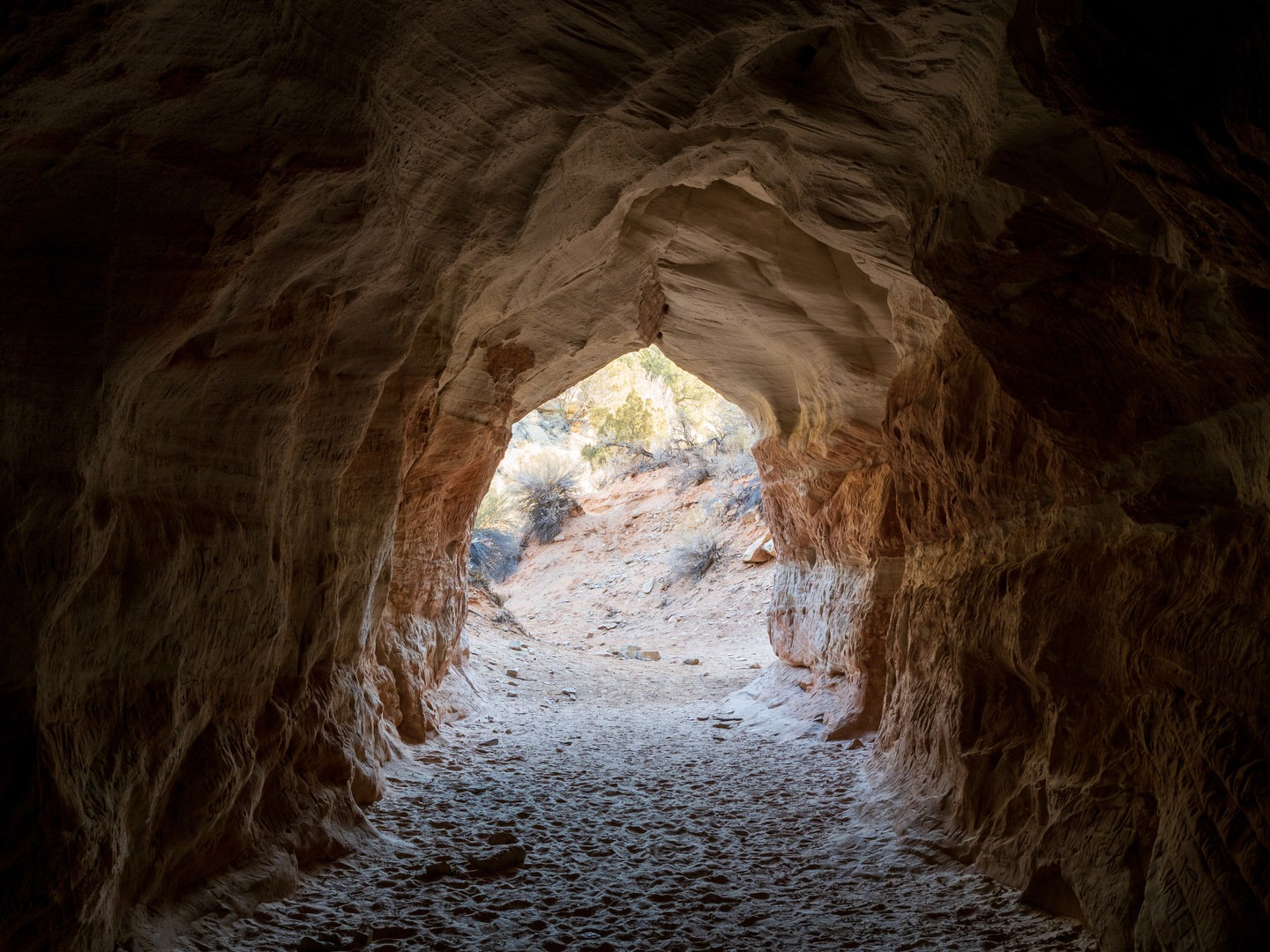 Inside the Belly of the Dragon.