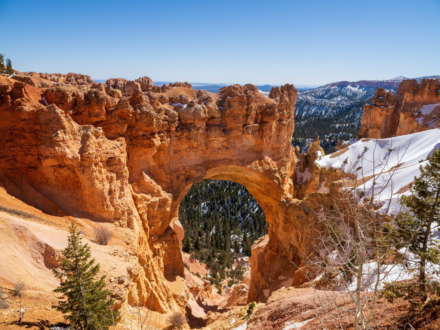 Stunning Natural Bridge.