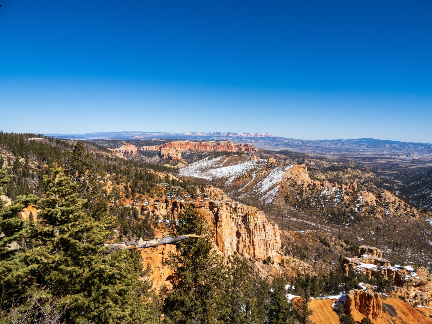Bryce Canyon views from Piracy Point.