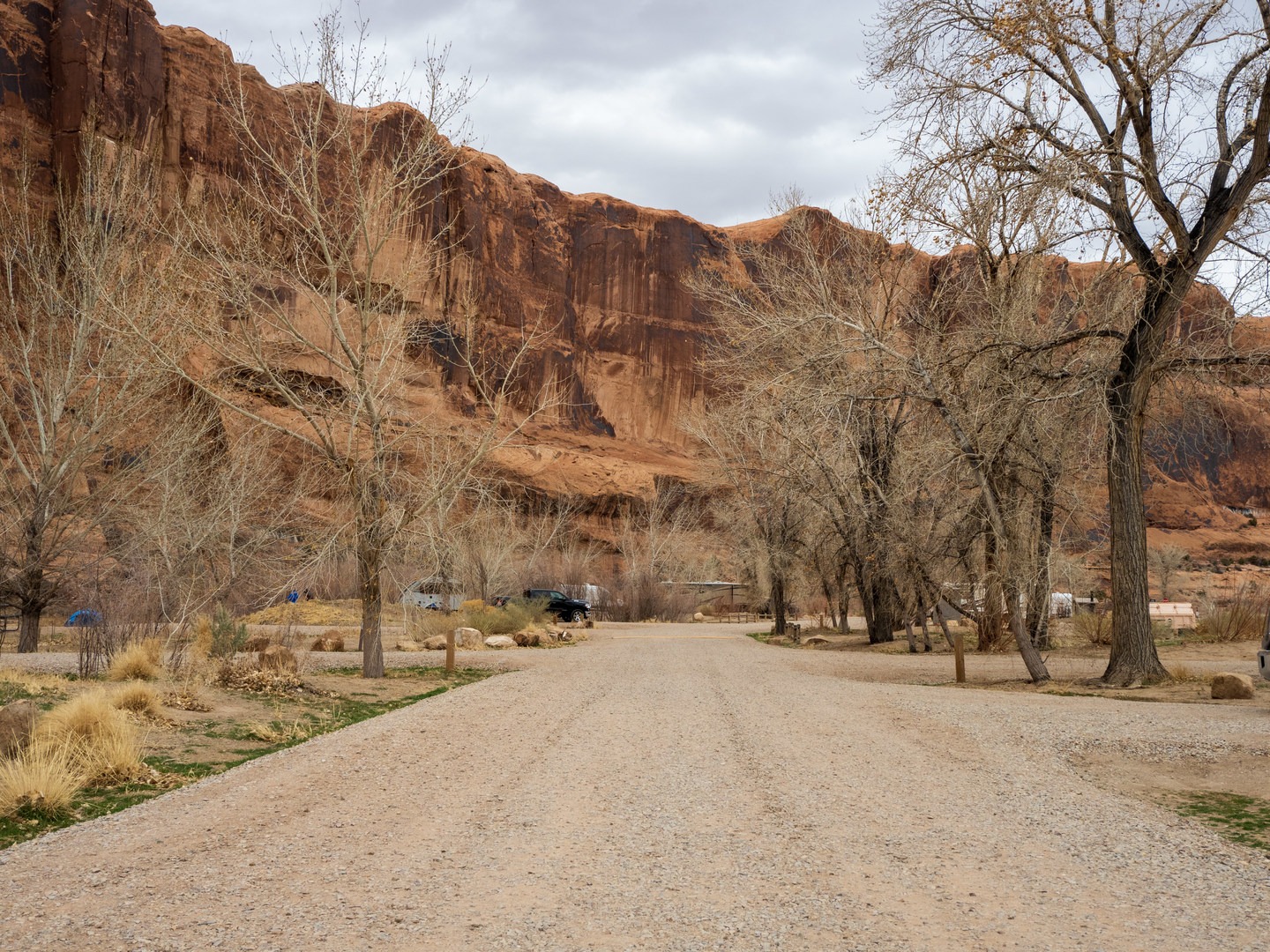 Goose Island Campground area.