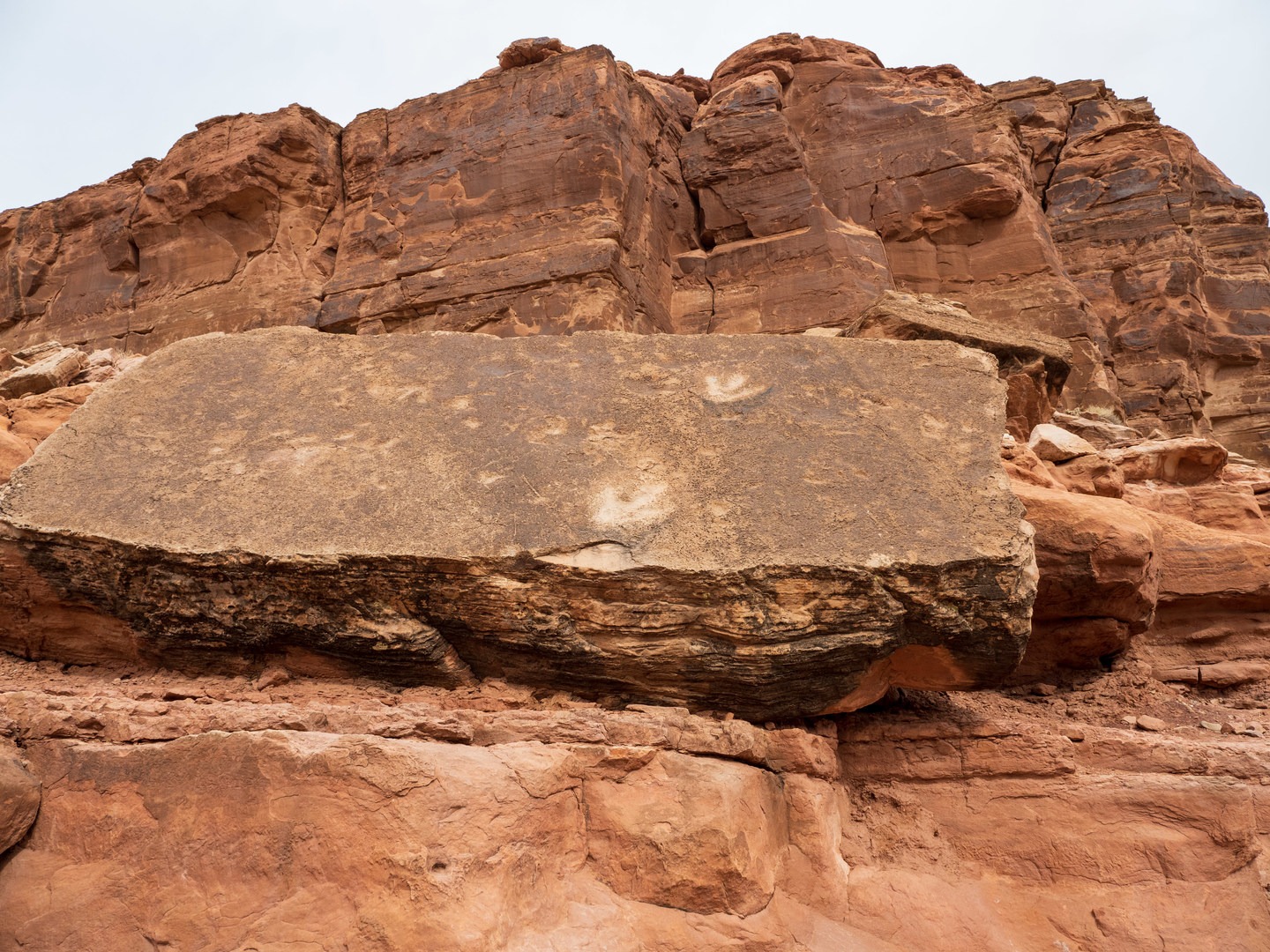 A pair of dinosaur tracks.