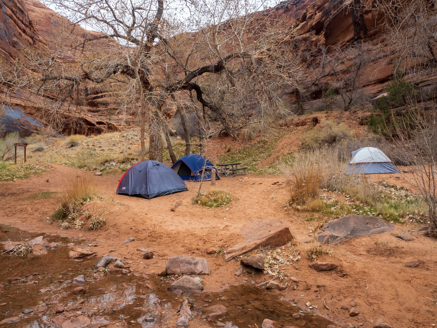 Tent sites along the creek at Hunter Canyon Campground.