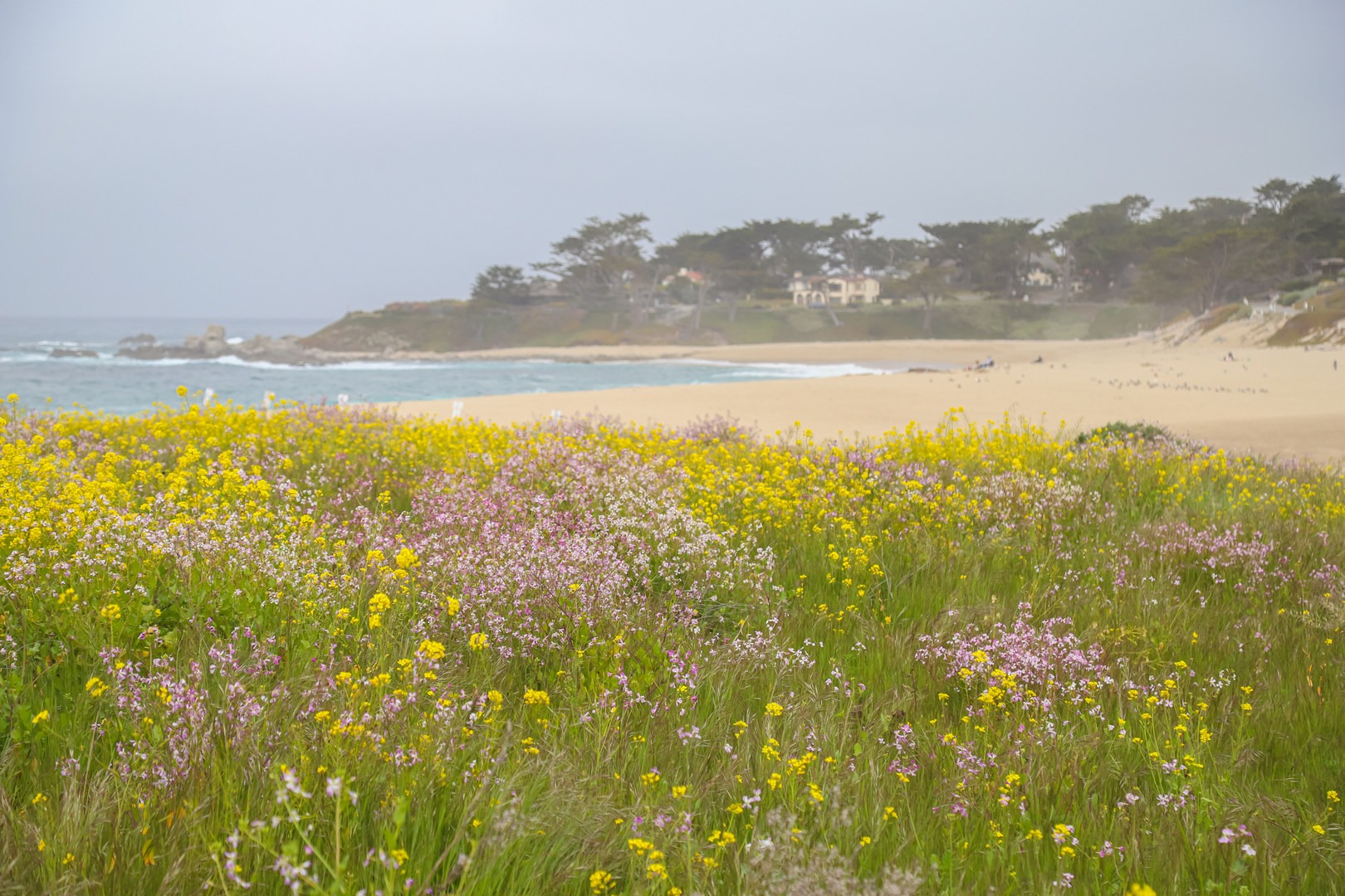 Carmel Meadows Trail Outdoor Project