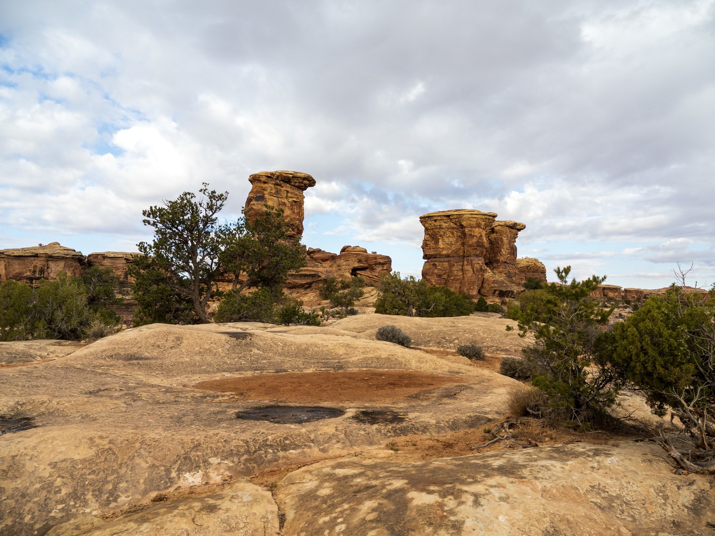 Looking out in the direction of the overlook.