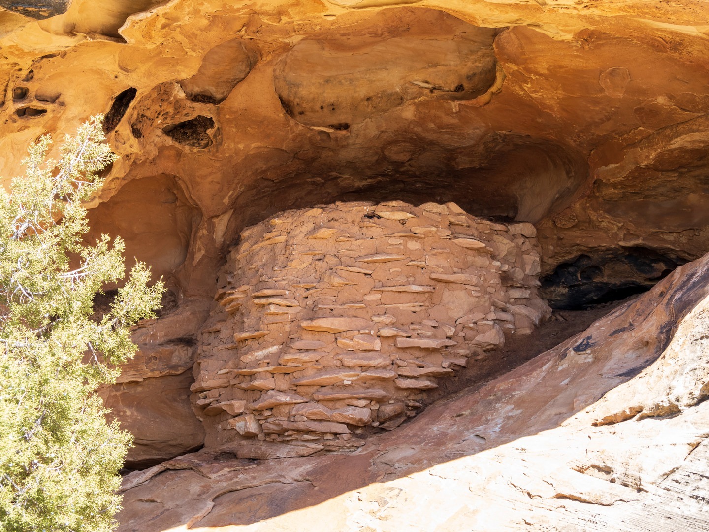 The small, Native American structure called Roadside Ruin.