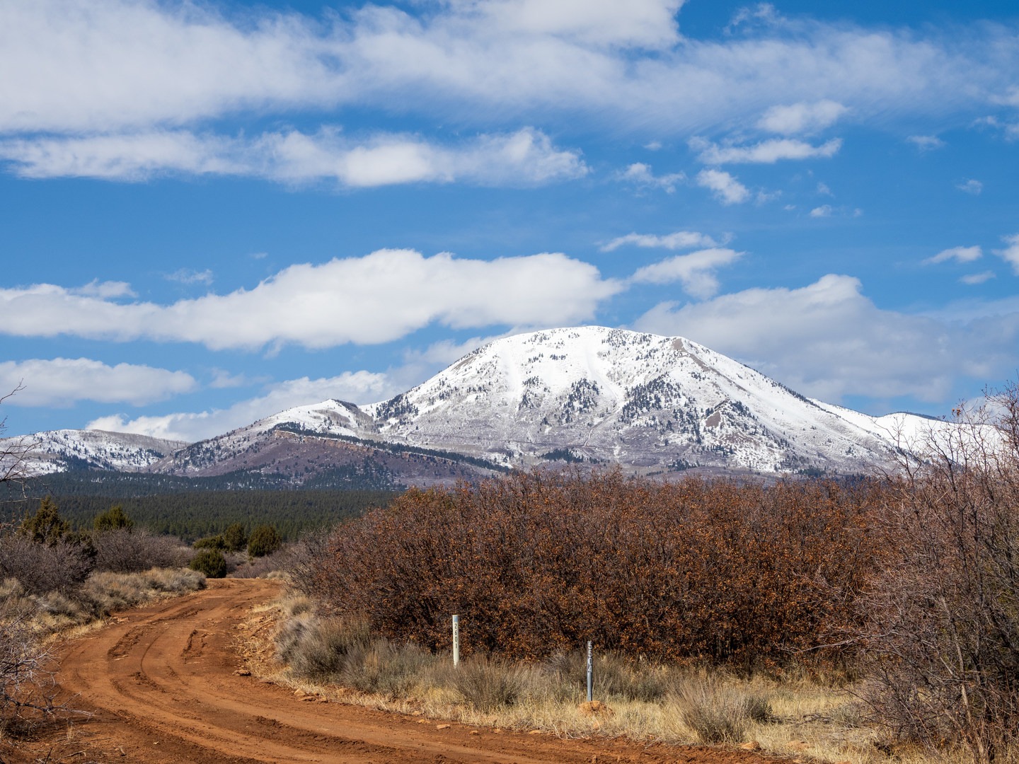 Views of the nearby Abajo Mountains.
