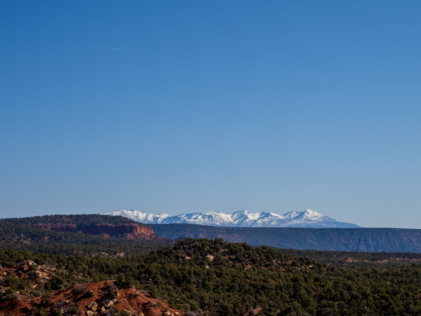 The Blue (Abajo) Mountains as seen from Salvation Knoll.