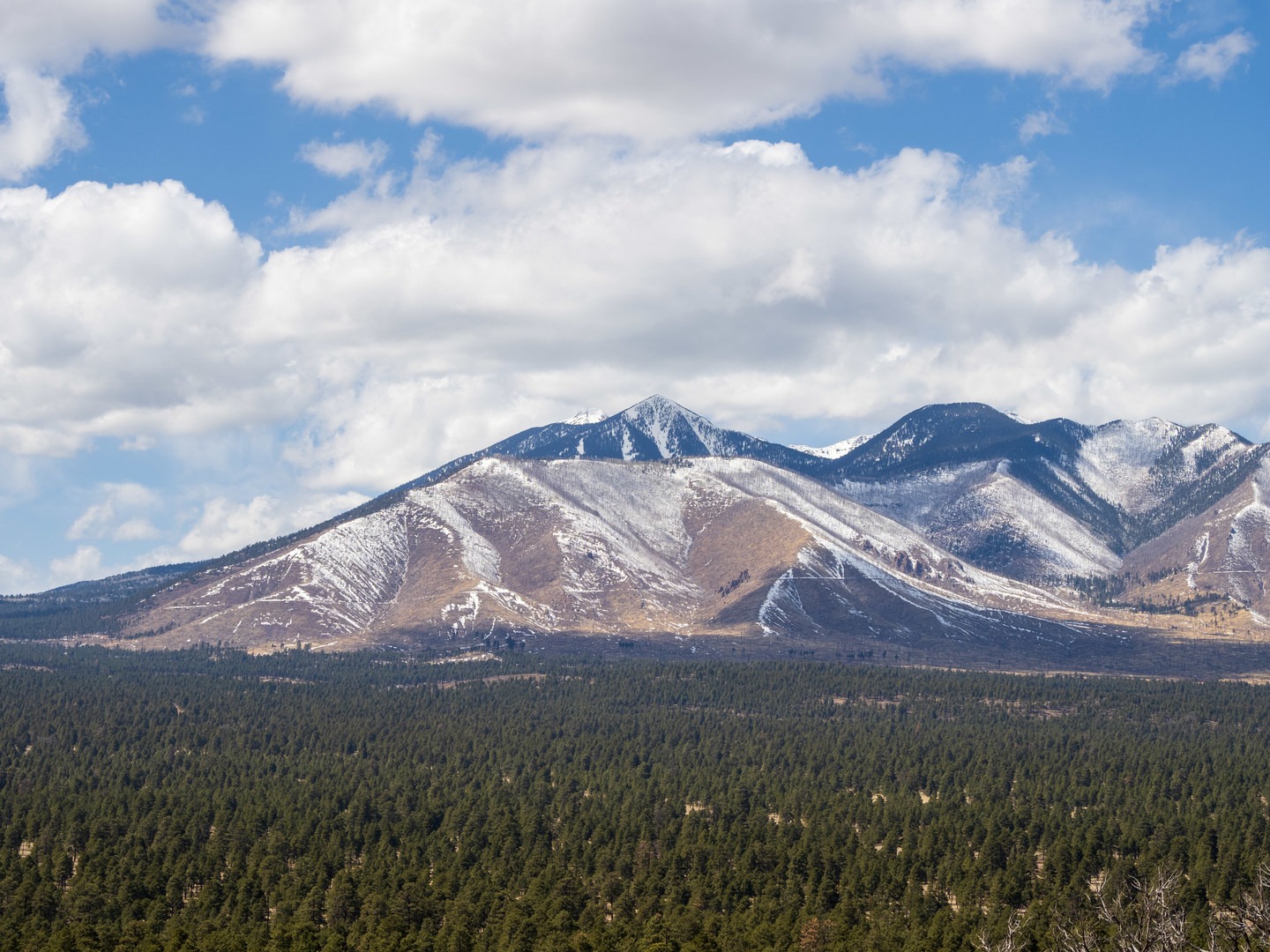 Views of the San Francisco Peaks.
