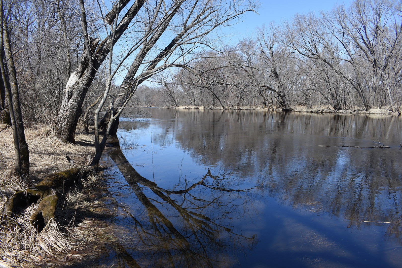 Rum River at Martin's Meadows.