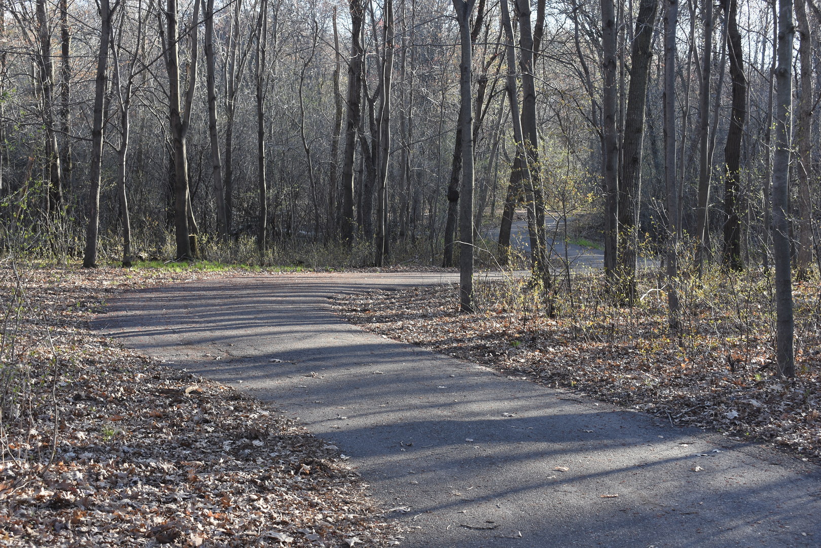 Paved trail at Pioneer Park.