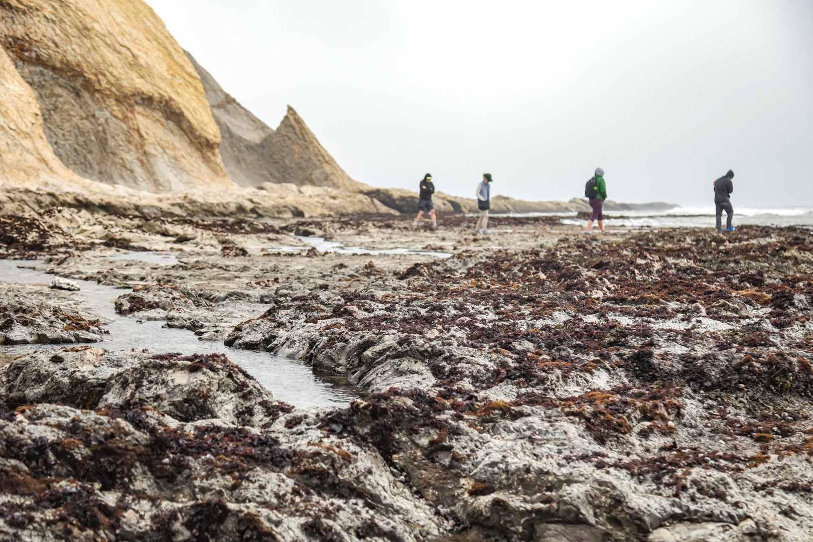 Agate Beach tide pools.